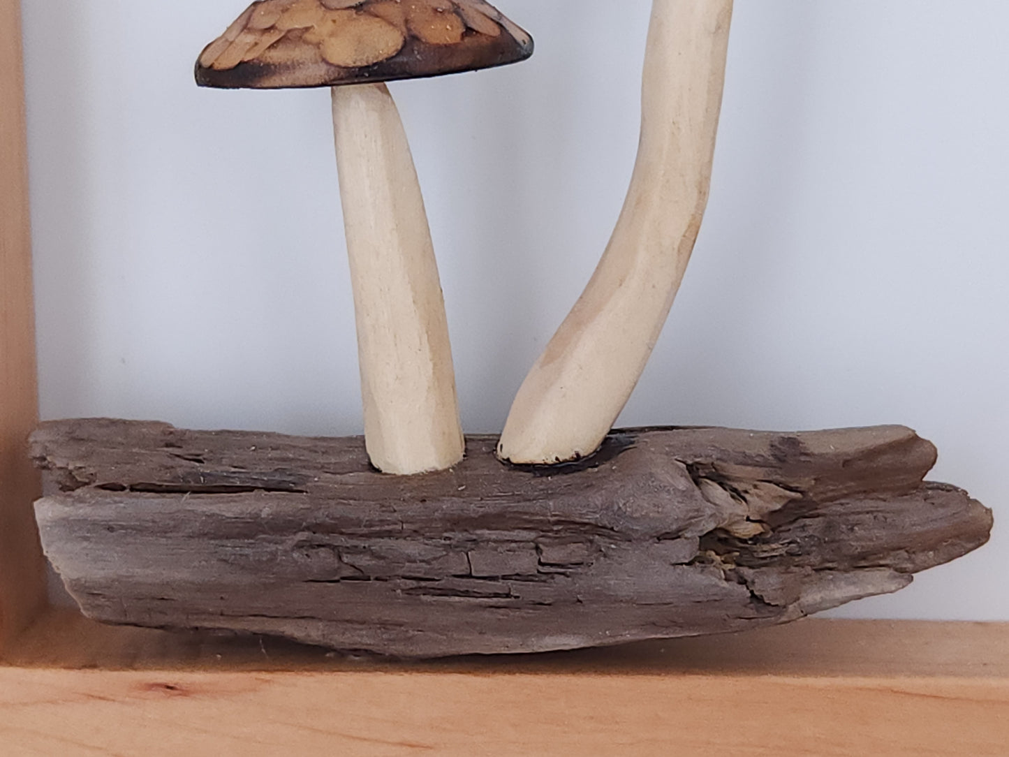 Woodland Companions