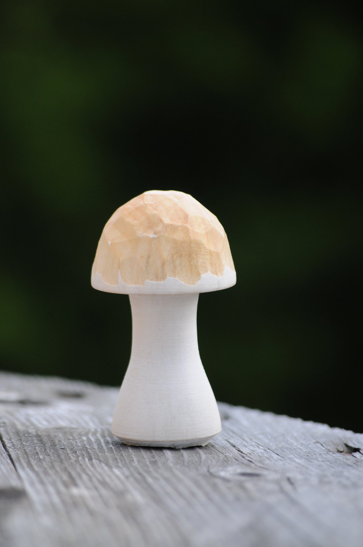 Unique Mushrooms