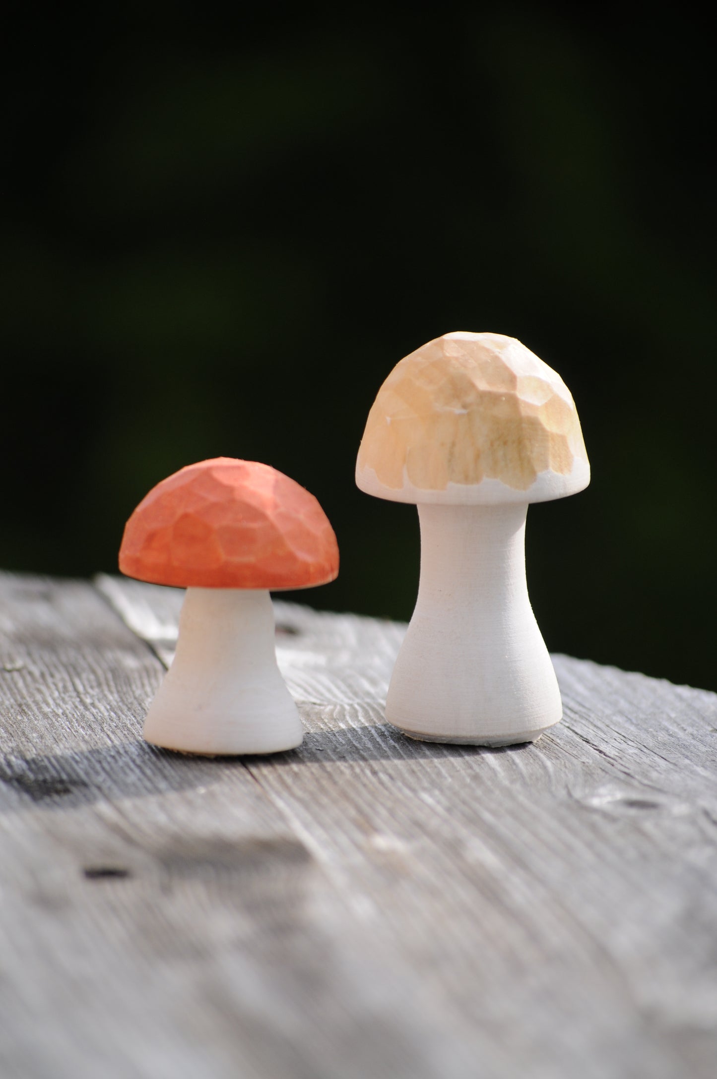 Unique Mushrooms