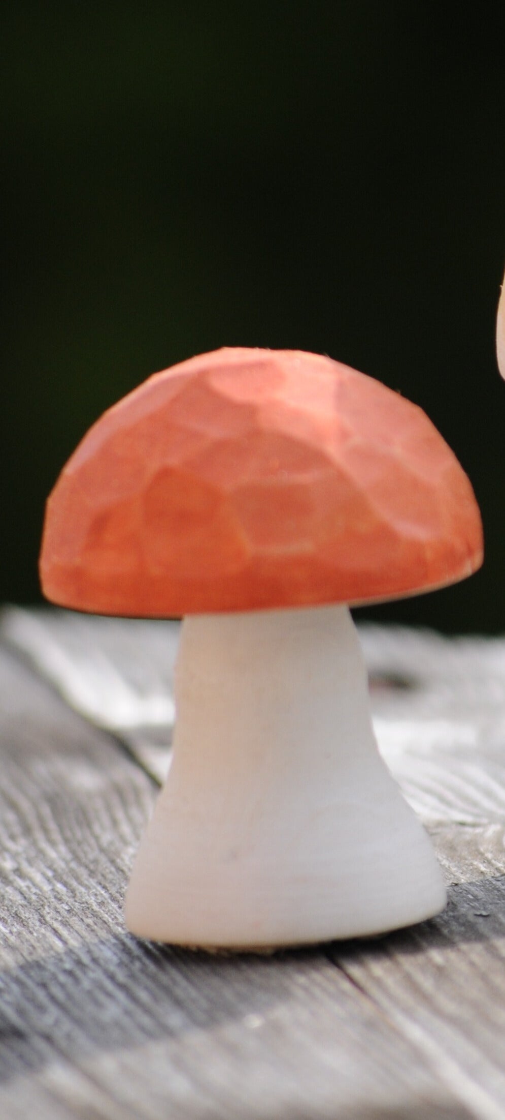 Unique Mushrooms