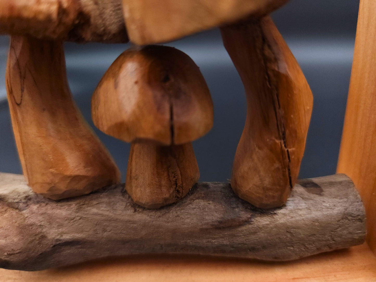 Driftwood Mushroom Wall Art – Under the Wings