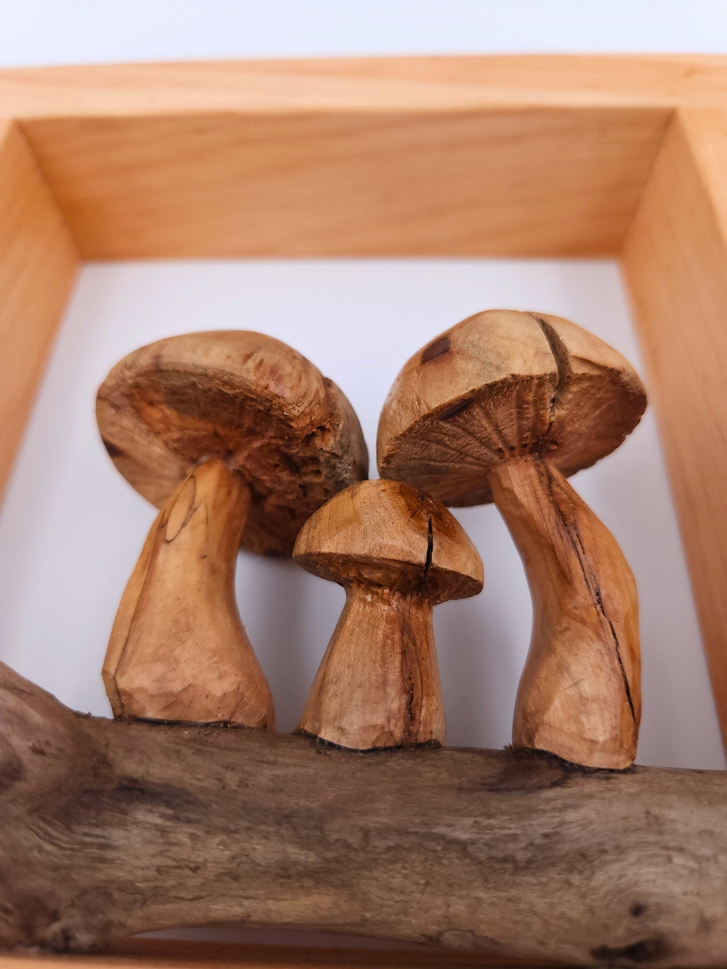 Driftwood Mushroom Wall Art – Under the Wings