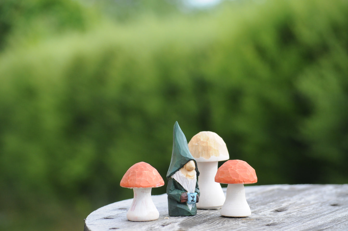 Unique Mushrooms