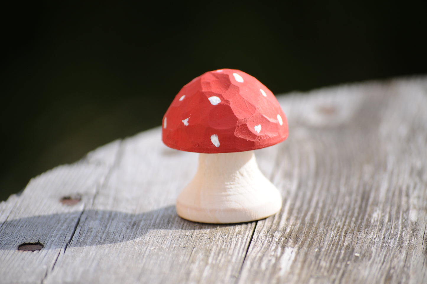Unique Mushrooms