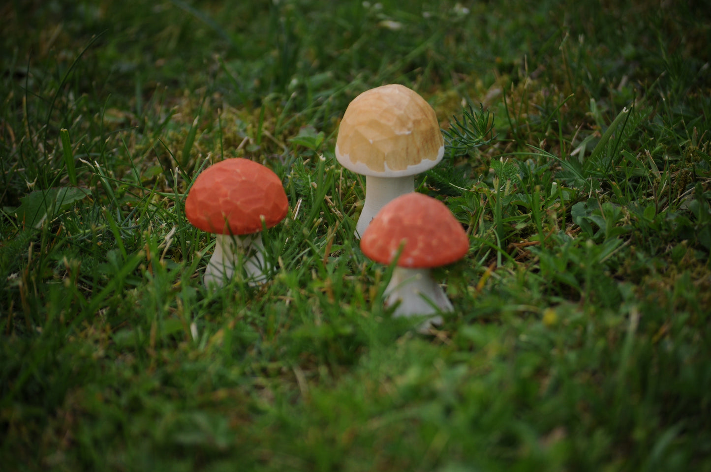 Unique Mushrooms