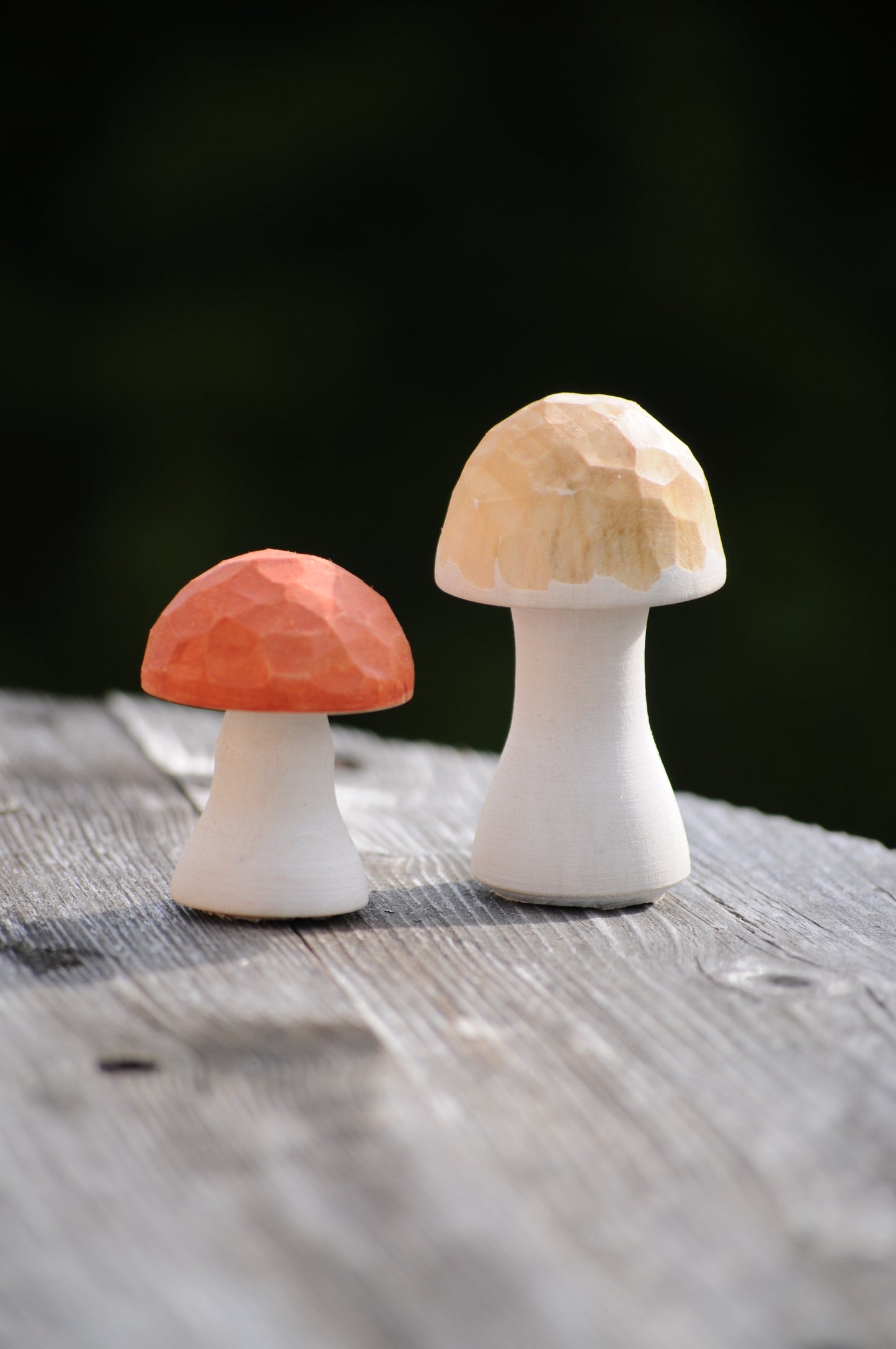 Unique Mushrooms