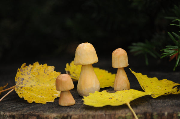 🍄 Hand Carved Wooden Mushroom – Untreated &amp; Natural
