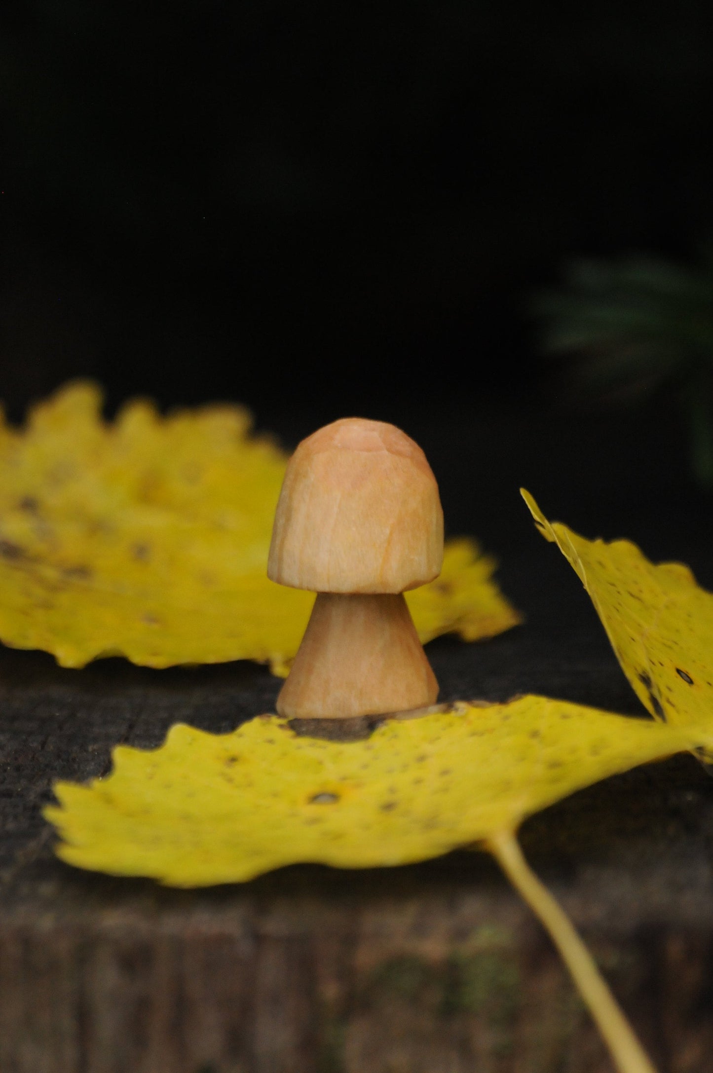 🍄 Handtäljd Svamp i Trä – Obehandlad &amp; Naturlig