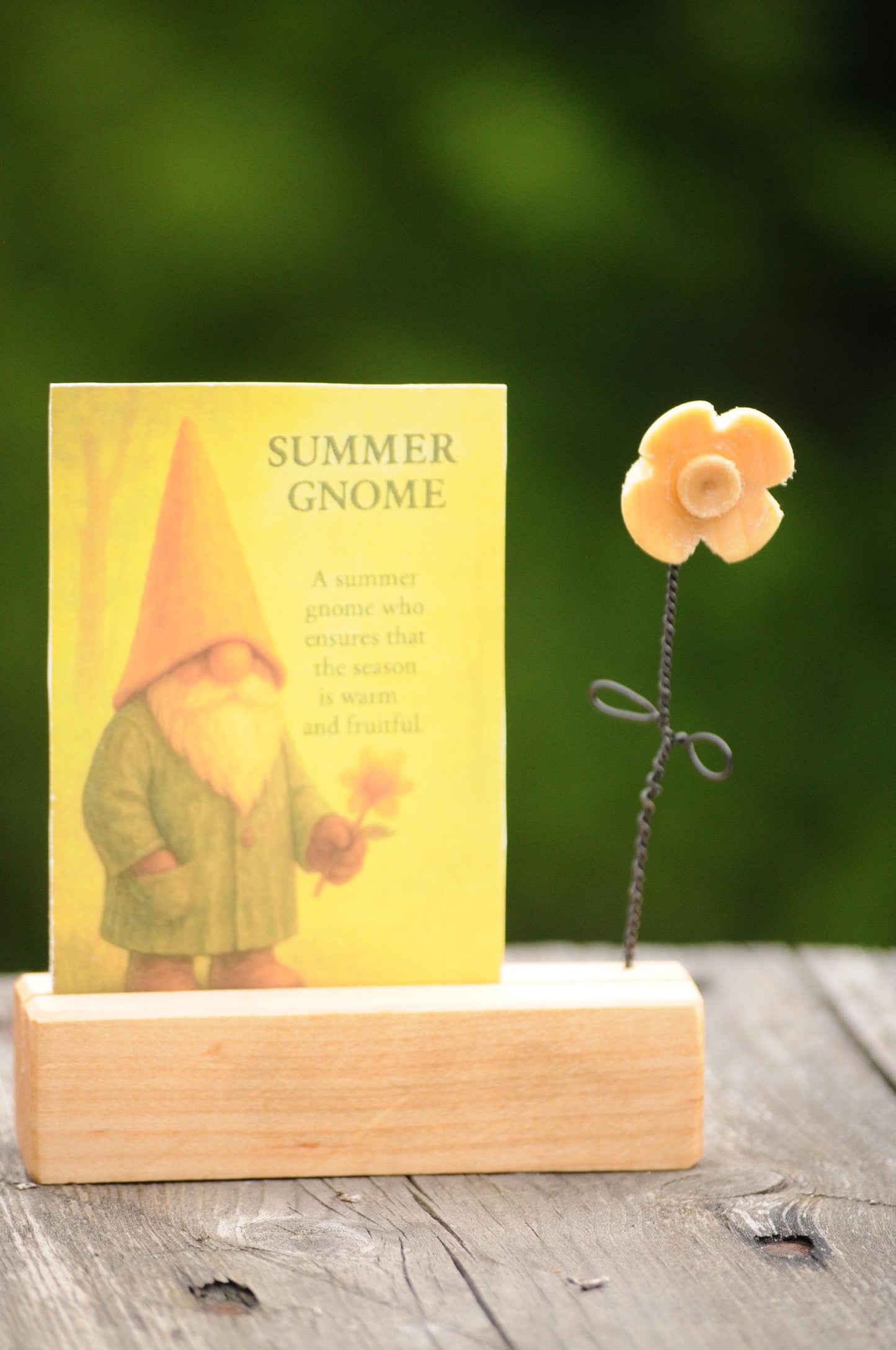 Summer Nisse with rose scented flower